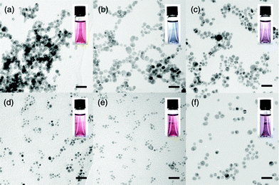 Transition electron micrographs (TEM) of Au/CB[5] NPs with CB[5]/Au ratios of (a) 0.0, (b) 0.10, (c) 0.20, (d) 0.50, (e) 1.0 and (f) 1.0 with CB[5] being added after the reduction of tetrachloroauric acid (scale bar: 20 nm).381