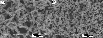 
            SEM images of the products prepared from the same systems at 120 °C for different durations: (a) 1 min and (b) 160 min.