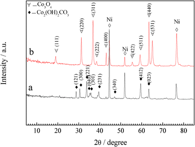 XRD patterns of (a) Co2(OH)2(CO3)2 precursor film and (b) Co3O4 nanowire array.
