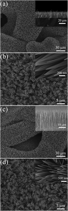 Typical SEM images of (a), (b) Co2(OH)2(CO3)2 precursor film and (c), (d) Co3O4 nanowire array grown on nickel foam (side view of the arrays and magnified top view presented in insets).