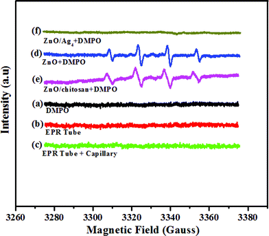 
          EPR spectra of (a) DMPO in saline, (b) EPR tube, (c) EPR tube + capillary, (d) ZnO + DMPO and (e) ZnO/chitosan + DMPO, (f) ZnO/Ag4 nanohybrid + DMPO.