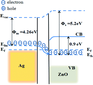 The energy band structure of Ag metal and ZnO showing the uniform Fermi energy level, induced by electron transfer from Ag to ZnO.