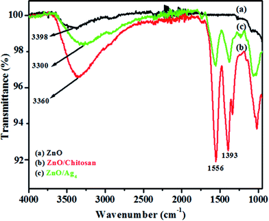 
            FT-IR spectra of (a) pristine ZnO, (b) ZnO/chitosan and (c) ZnO/Ag4 nanohybrid.