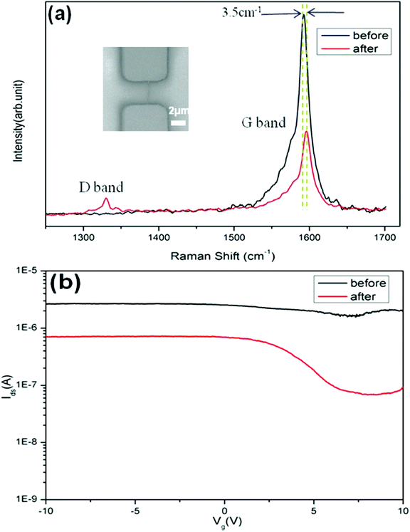 (a) Raman spectra showing D band and G band of a single metallic SWNT in the FET device before (black) and after (red) EAQ treatment. Inset is SEM image of the metallic single-tube device. (b) Current (Ids) versus gate voltage (Vg) characteristics of the device (inset of a) before (black) and after (red) EAQ treatment, showing decrease of the overall conductance and Ion/Ioff improvement from 1.5 to 10.7. The stronger gate bias dependence of device indicated metal-to-semiconductor conversion of SWNT.