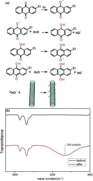 (a) Schematic illustration of the reaction mechanism in the EAQ treatment process. (b) FTIR spectra of SWNTs before (black) and after (red) EAQ treatment.