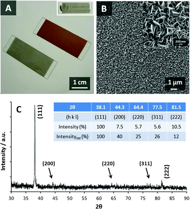 (A) Digital image of the metal-coated glass slides before (golden) and after (silvery) the galvanic replacement reaction. (B) FESEM image of Ag thin film with different magnifications. (C) XRD pattern of Ag thin film. Inset of (C): the comparison between the peak intensity of standard FCC Ag and that of the as-prepared sample.