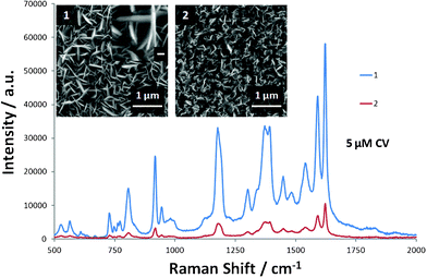 
            Raman spectra of 5 μM CV on Ag thin films with higher (1) and lower (2) density nanopetals. Inset in (1): one magnified nanocavity with the scale bar representing 100 nm.