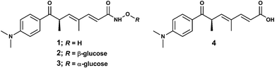 
          R-(+)-Trichostatin A (1), trichostatin C (2), trichostatin D (3) and trichostatic acid (4).