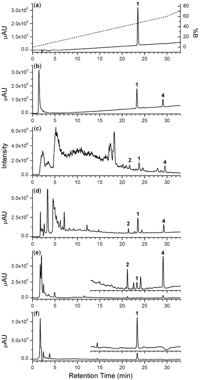 
          Chromatograms from solutions of pure TSA (a); Fe(iii) and TSA (b); crude bacterial culture supernatant ((c), (d)); unbound fraction (fraction 7) from Ni(ii)-based IMAC (e); or bound fraction (fraction 42) from Ni(ii)-based IMAC (f), displayed in total scan (200–320 nm) photodiode array ((a)–(b), (d)–(f)) or total ion current (positive-ion ESI-MS) (c) detection mode. The gradient in (a) was used in (b)–(f), but has been omitted for clarity.