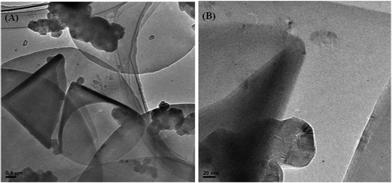 (A) TEM image of carbon nanodiscs in the presence of carbon nanocones and polyhedral particulate carbon matter. (B) TEM image of a carbon nanocone next to a polyhedral carbon particulate.