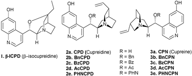 Structures and abbreviations of some 6′–OH Cinchona alkaloids.