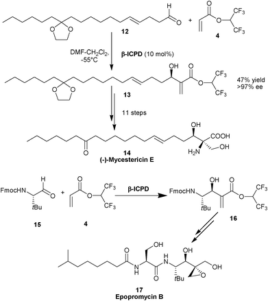 Synthesis of (–)-mycestericin E (14) and epopromycin B (17).