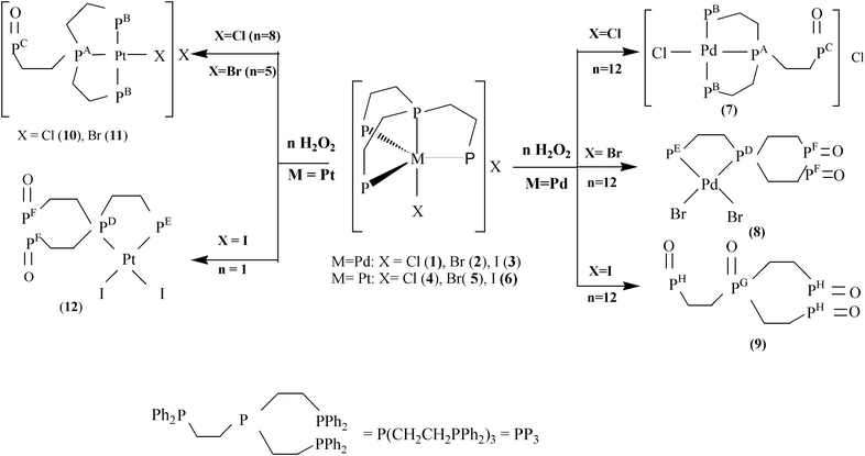 
          Oxidations with H2O2 of complexes 1–6 in CDCl3.