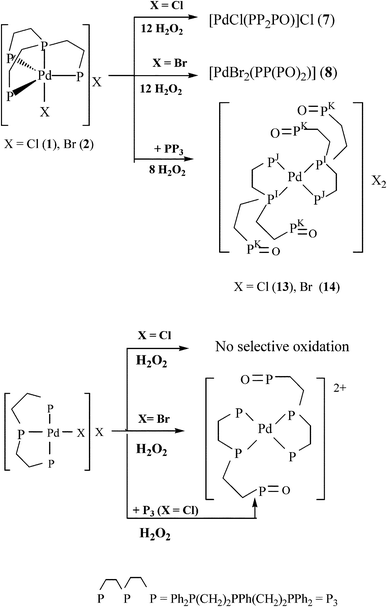 
          Oxidations with H2O2 of palladium(ii) complexes containing PP3 and the linear ligand triphos.