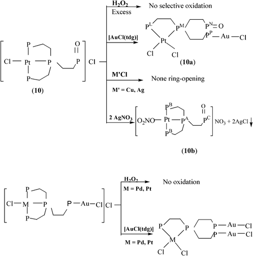 Reactions of chloro complexes containing dangling PO and PAuCl groups.