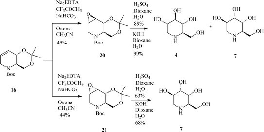 Synthesis of 1-deoxynojirimycin (4) and 1-deoxyaltronojirimycin (7) from the tetrahydropyridine core 16.