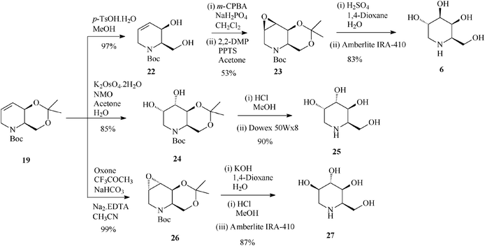 Stereoselective synthesis of 1-deoxygalactonojirimycin (6) and its congeners (25 and 27) from the protected tetrahydropyridine 19.