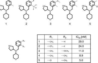 
          R-
          group
           table. For a series of serotonin transporter inhibitor analogs (taken from BindingDB50) that are distinguished by substitutions at one of two or two sites (R1 and R2), an R-group table is shown. The shared molecular framework (scaffold) is drawn with thick edges.