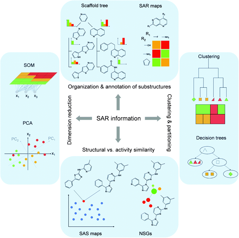 
          Analysis of SAR information. Representative computational approaches that are applied to access SAR information in different ways, as discussed in the text, are schematically illustrated. The figure has been adapted from ref. 51.