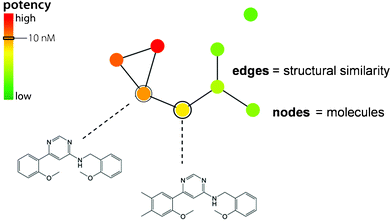 
          Similarity-based compound network. A prototypic annotated compound network is shown that provides the basis for different types of SAR network representations.