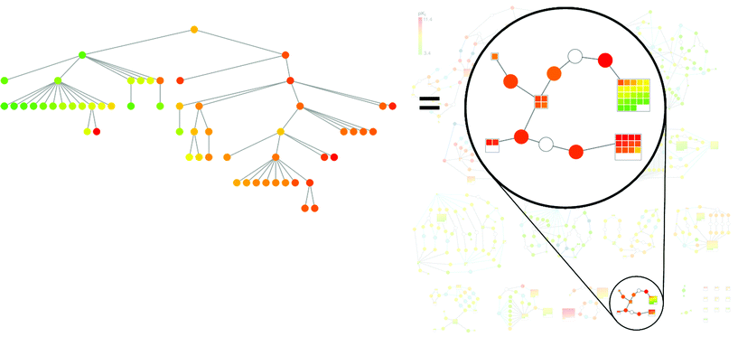 
          Corresponding graph patterns. A subgraph of the BMMSG in Fig. 8 is highlighted on the right and the corresponding SPT is shown on the left.