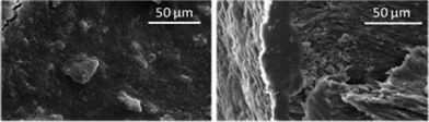 
          Scanning electron micrograph of nanoparticle-treated enamel. Left: Overview of the surface. The nanoparticulate paste completely covers the surface. Right: Fractured sample with a dense cover of nanoparticles on the enamel surface.