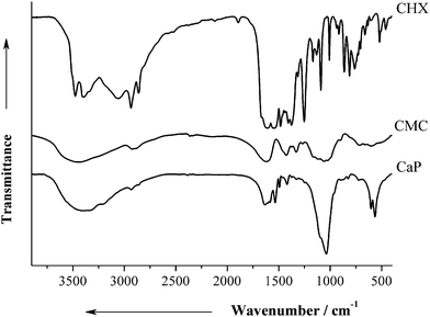 
          IR data of pure CHX, pure CMC, and air-dried CaP-CMC-CHX nanoparticles (CaP).