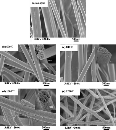 
            SEM micrographs of electrospinning fibers calcinated at different calcination temperatures