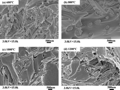 
            SEM micrographs of the cross-sections for ZrO2/CE composites based on ZrO2 fibers calcined at different temperatures.