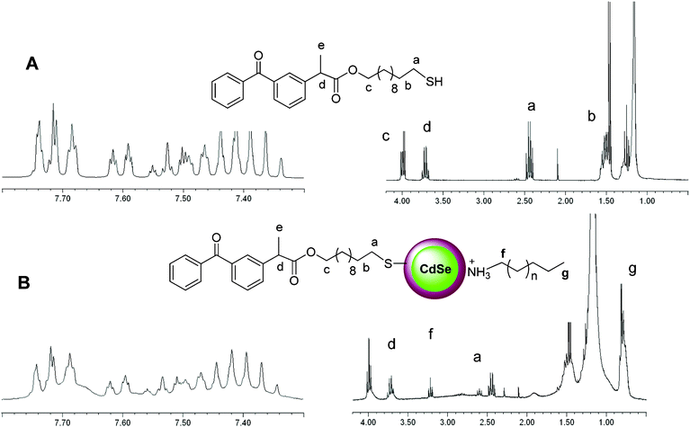 
          1H-NMR
          spectrum of A) KP-SH and B) CS1@KP. The most significant signals are highlighted.
