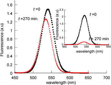 Normalized fluorescence spectra of deaerated toluene solutions of CS2@KP, before (■) and after (•) 270 min irradiation at λ > 400 nm. Inset: comparative fluorescence spectra of QD-CS2.