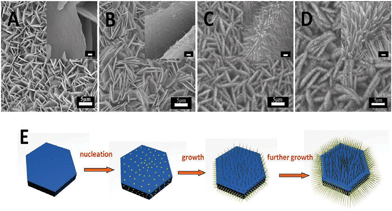 
            SEM images of the products at various reaction stages by setting the reaction time to A) 6 h, B) 7 h, C) 8 h, D) 9 h. The insets are the corresponding magnified SEM images with scale bars of 200 nm. E) Scheme of the possible formation process of the Co3O4 hierarchically structure.