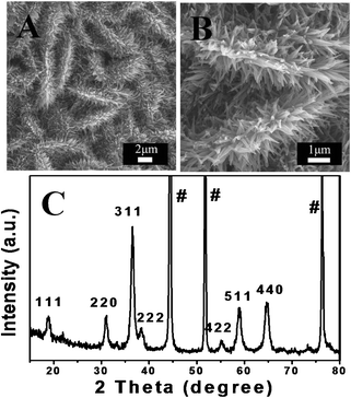 Typical SEM images (A, B) and XRD pattern (C) of Co3O4 NSWAs after 1000 cycles.