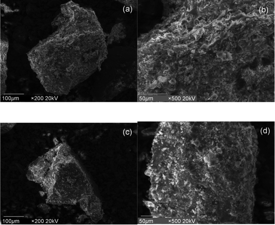 
            SEM images of adsorbents.