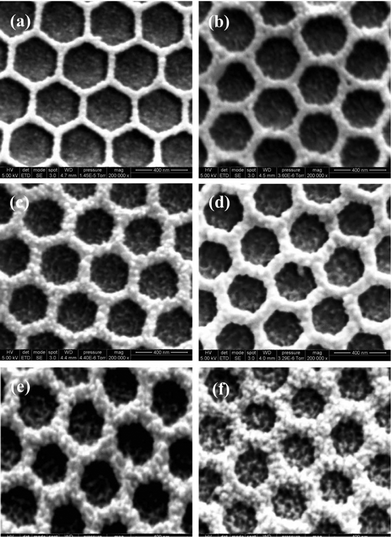 SEM images of structured PEDOT–PANI composite films incorporating PEDOT at 10 mC cm2 and PANI at (a) 5, (b) 10, (c) 15, (d) 20, (e) 25, and (f) 30 mC cm2.