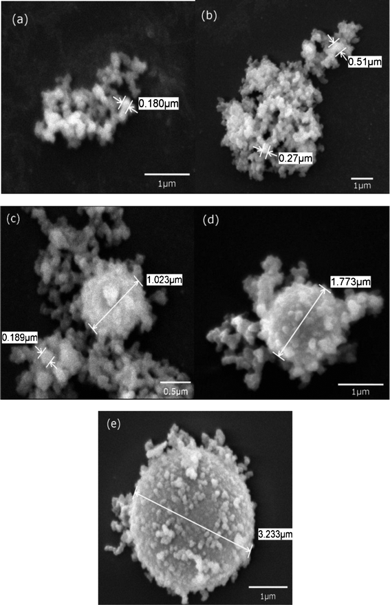 SEM images of biosilica produced by PLL with the reaction time of (a) 10 min, (b) 20 min, (c) 30 min, (d) 45 min, (e) 1 h.