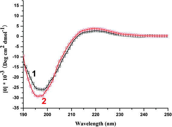 CD spectra of PLL in the absence (curve 1) or in the presence (curve 2) of silicic acid in 0.1 mM phosphate buffer solutions pH 7.6.