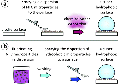 Two approaches for lotus-leaf mimicking hierarchical topography and wetting properties. (a) Approach A: a dispersion of NFC microparticles in ethanol is first sprayed onto a surface. The surface is subsequently coated with FOTS via chemical vapor deposition, resulting in a superhydrophobic surface. (b) Approach B: a toluene dispersion of NFC microparticles is first reacted with FOTS to fluorinate the microparticles. Subsequently, the microparticle dispersion is washed and finally sprayed onto a substrate, resulting in a superhydrophobic surface.