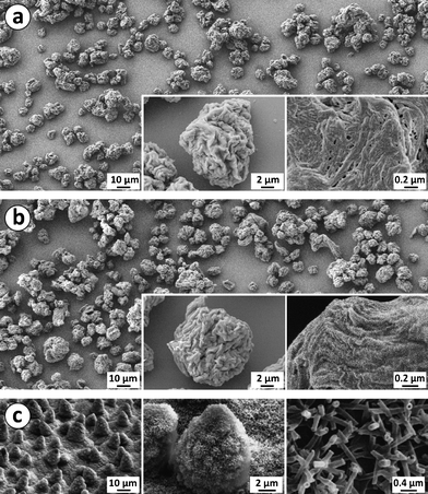 
          (a) Surface structures of a sample with spray-dried NFC microparticles by Approach A before fluorination. (b) A sample with fluorinated NFC microparticles, prepared by Approach B. (c) Surface of a lotus leaf with microstructure formed by papillose cells covered with hydrophobic wax tubules (Reproduced by permission of The Royal Society of Chemistry).7