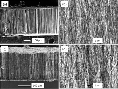 Cross-sectional morphology of aligned CNT arrays (a,b: camphor/ferrocene = 7.5, c,d: camphor/ferrocene = 10).