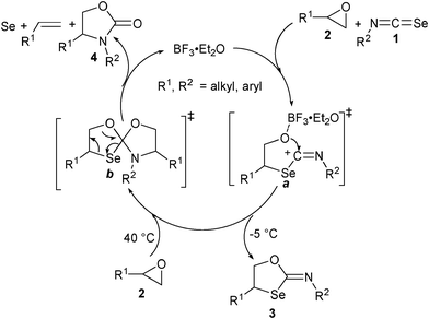 Proposed catalytic cycle.