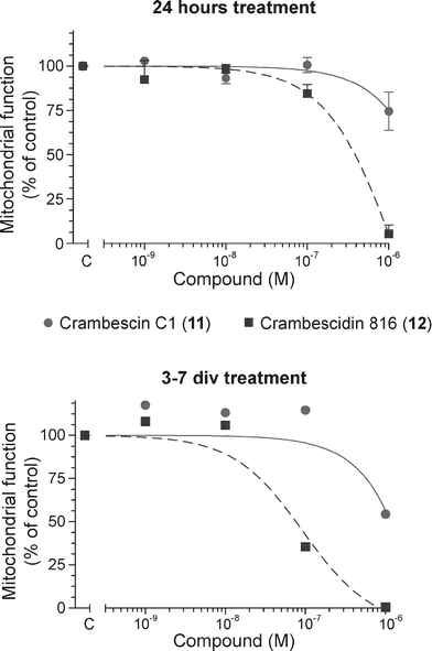 Effects of crambescin C1 (10) and crambescidin 816 (12) on cell viability in primary cultures of cortical neurons.