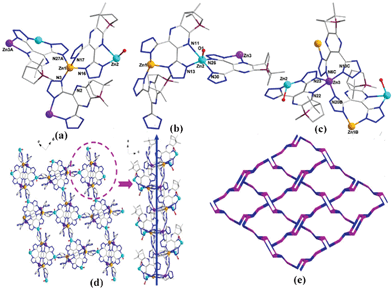 Ball-and-stick view of (a)–(c) the coordination environment of three independent Zn2+ centers; (d) the 3D homochiral framework; (e) the 3-connected topological network of CCP 2.