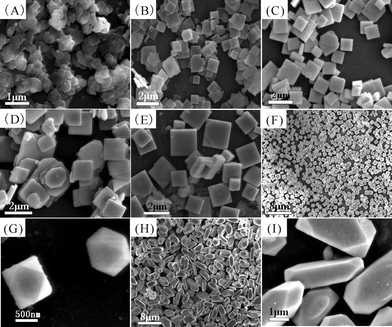 SEM and high-magnification SEM images of the samples S2 (A), S3 (B), S4 (C), S5 (D), S6 (E), S7 (F, G) and S8 (H, I).