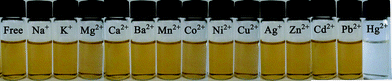 Color changes of DP-TXT towards various metal ions.