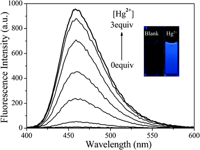 Fluorescence spectra of DP-TXT (1.0 × 10−5 M) in the presence of Hg2+ (0–3.0 × 10−5 M) in CH3CN–H2O (5 : 5, v/v), λex = 309 nm. Inset: Fluorescence change of DP-TXT upon addition of Hg2+.