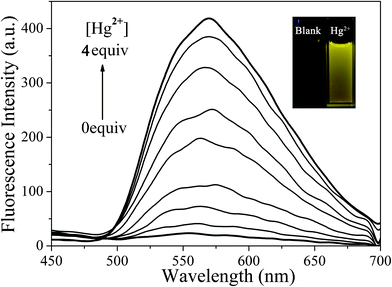 Fluorescence spectra of BDPA-TXT (1.0 × 10−5 M) in the presence of Hg2+ (0–4.0 × 10−5 M) in DMSO–H2O (9 : 1, v/v), λex = 357 nm. Inset: Fluorescence change of BDPA-TXT upon addition of Hg2+.