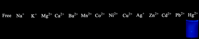 Fluorescence images of DP-TXT towards various metal ions.