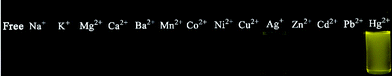 Fluorescence images of BDPA-TXT towards various metal ions.