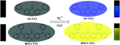 Fluorescence changes in the presence of Hg2+ and proposed sensing mechanism: desulfurization of DP-TXT and BDPA-TXT promoted by Hg2+.